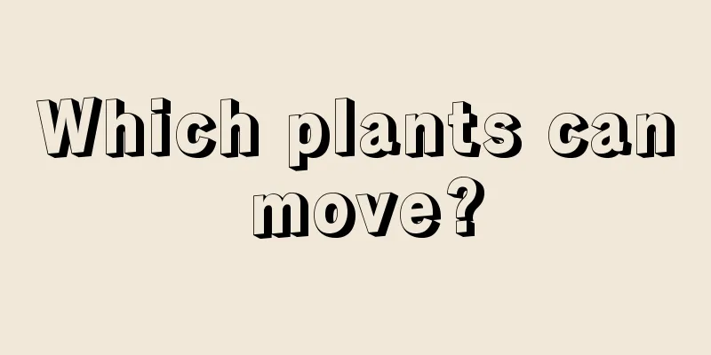 Which plants can move?