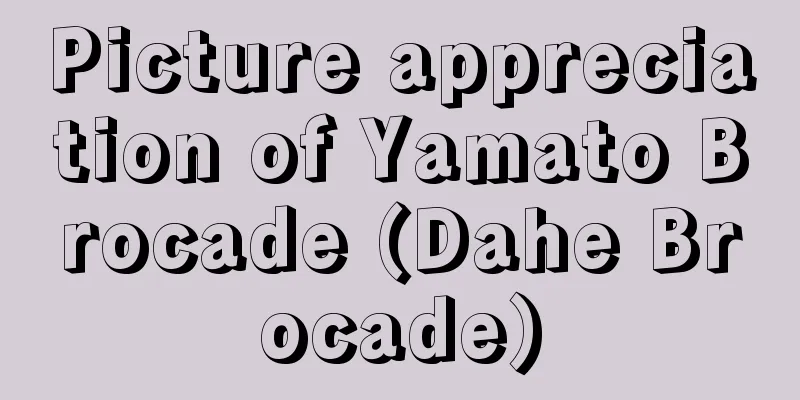 Picture appreciation of Yamato Brocade (Dahe Brocade)