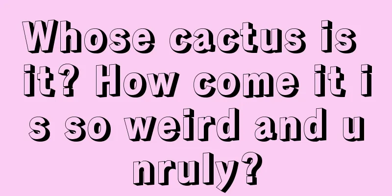 Whose cactus is it? How come it is so weird and unruly?