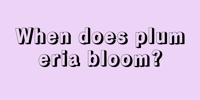 When does plumeria bloom?