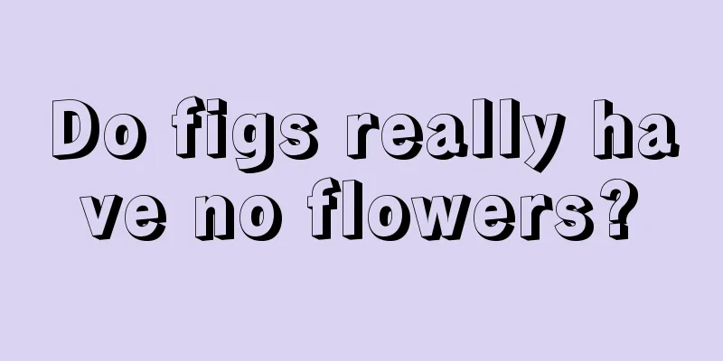 Do figs really have no flowers?