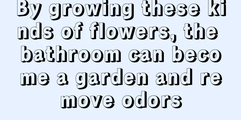 By growing these kinds of flowers, the bathroom can become a garden and remove odors