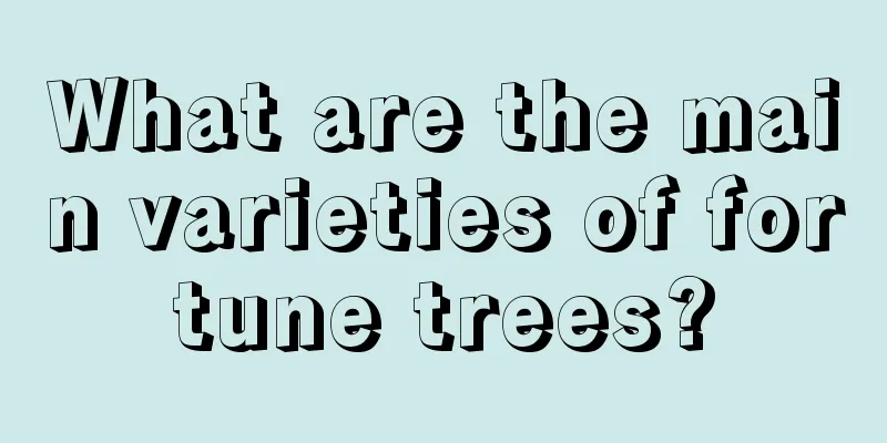 What are the main varieties of fortune trees?