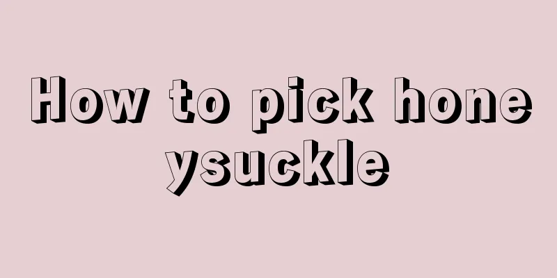 How to pick honeysuckle