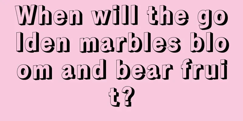 When will the golden marbles bloom and bear fruit?