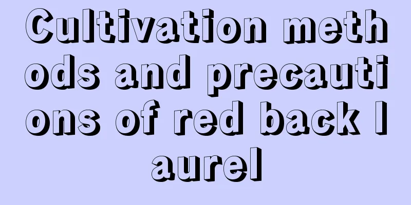 Cultivation methods and precautions of red back laurel