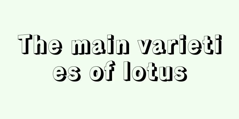 The main varieties of lotus