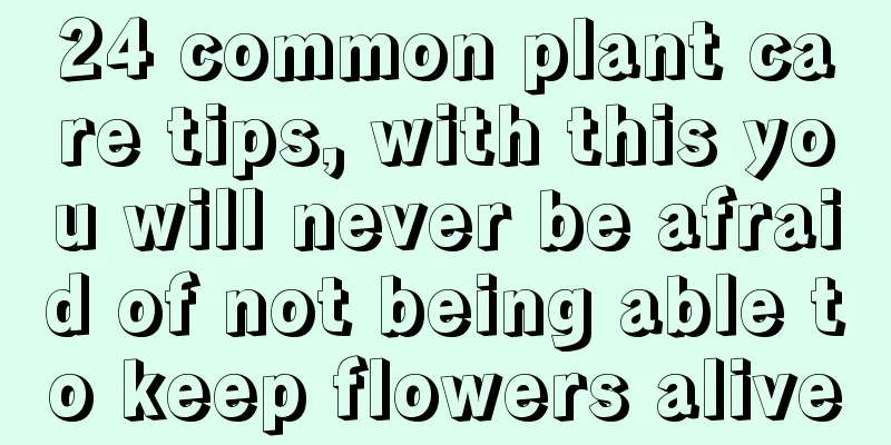 24 common plant care tips, with this you will never be afraid of not being able to keep flowers alive