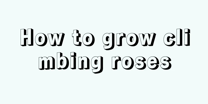 How to grow climbing roses