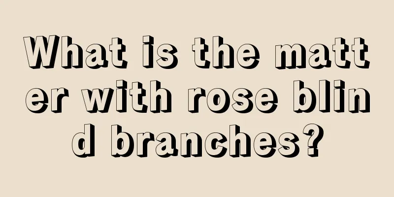 What is the matter with rose blind branches?