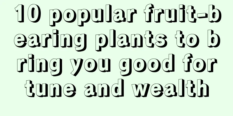 10 popular fruit-bearing plants to bring you good fortune and wealth