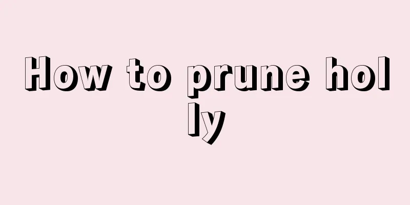 How to prune holly