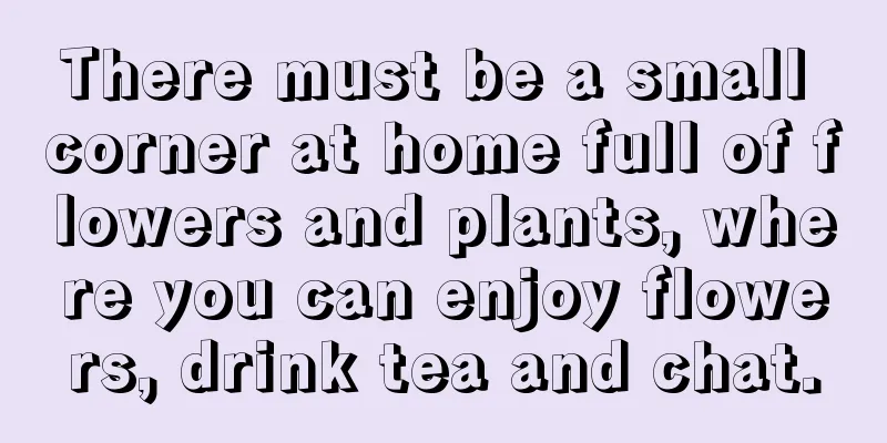 There must be a small corner at home full of flowers and plants, where you can enjoy flowers, drink tea and chat.