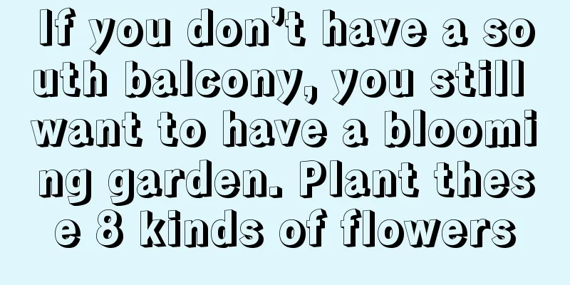 If you don’t have a south balcony, you still want to have a blooming garden. Plant these 8 kinds of flowers