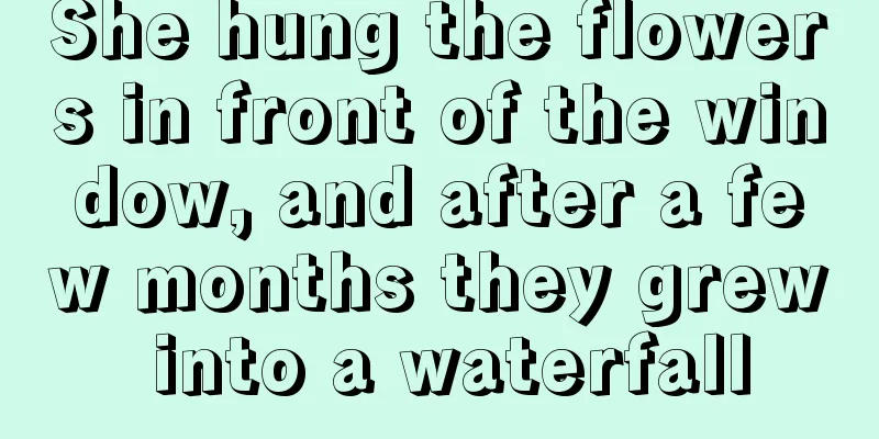 She hung the flowers in front of the window, and after a few months they grew into a waterfall