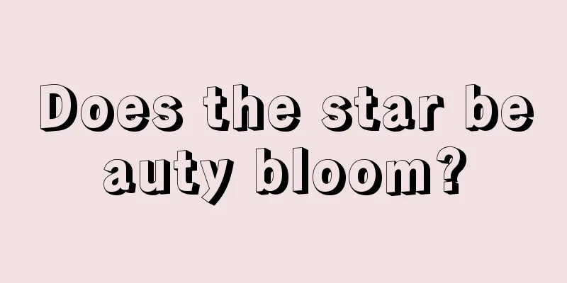 Does the star beauty bloom?