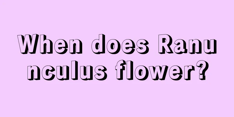 When does Ranunculus flower?