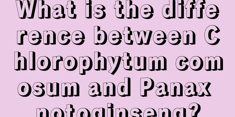 What is the difference between Chlorophytum comosum and Panax notoginseng?