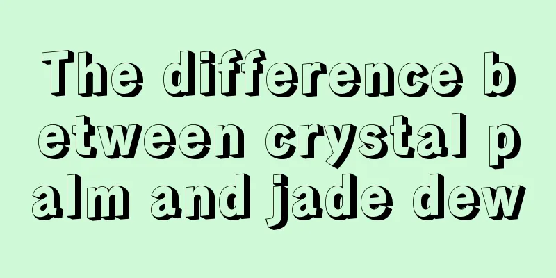 The difference between crystal palm and jade dew