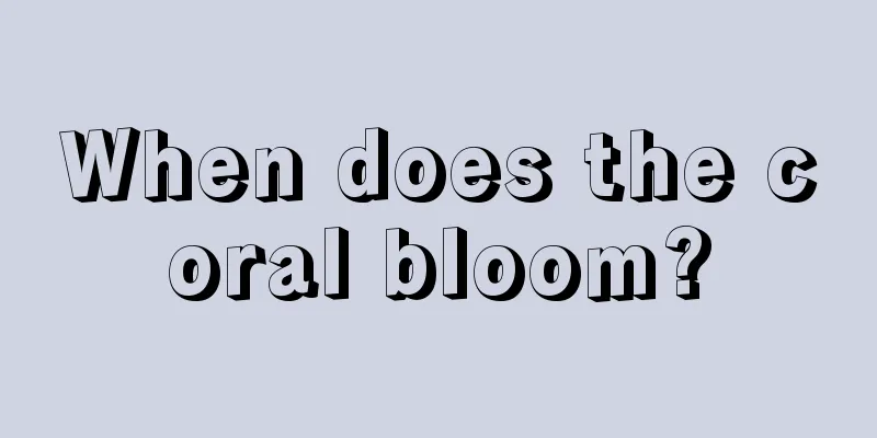 When does the coral bloom?