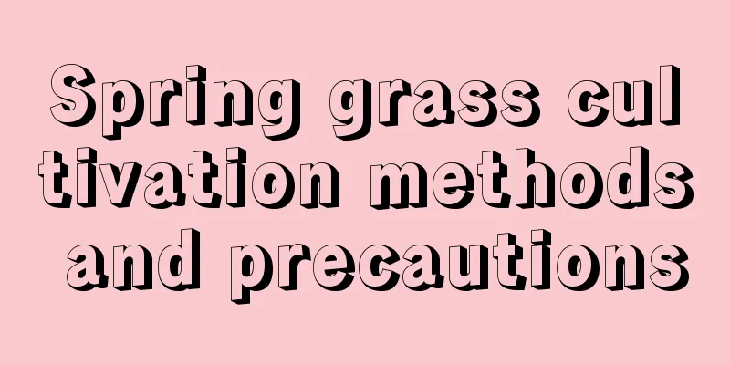 Spring grass cultivation methods and precautions