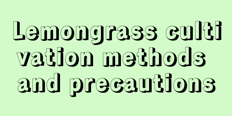 Lemongrass cultivation methods and precautions