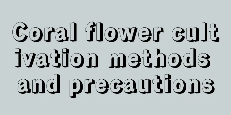 Coral flower cultivation methods and precautions