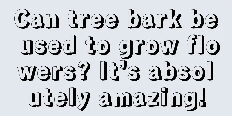 Can tree bark be used to grow flowers? It’s absolutely amazing!