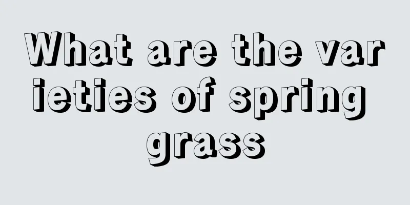 What are the varieties of spring grass