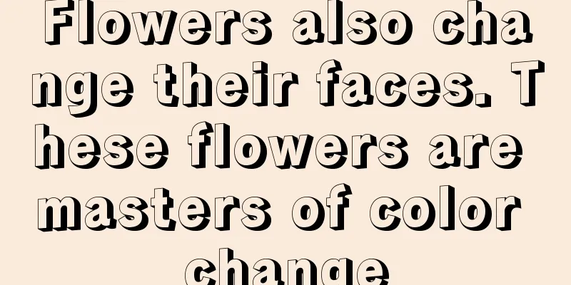 Flowers also change their faces. These flowers are masters of color change