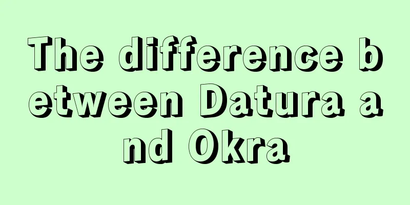 The difference between Datura and Okra