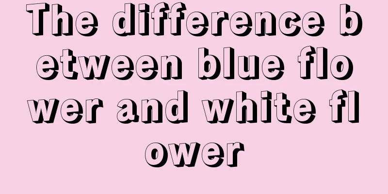 The difference between blue flower and white flower