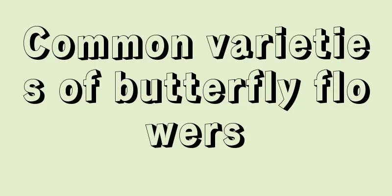 Common varieties of butterfly flowers