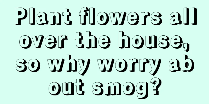 Plant flowers all over the house, so why worry about smog?