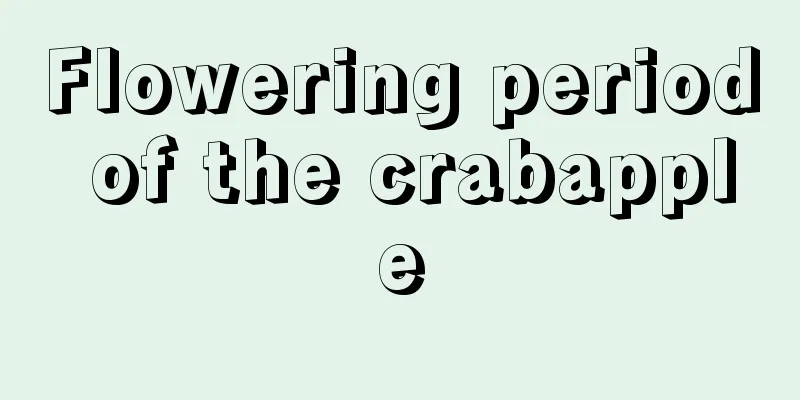 Flowering period of the crabapple