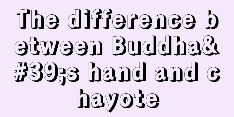 The difference between Buddha's hand and chayote