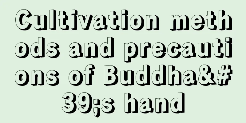 Cultivation methods and precautions of Buddha's hand