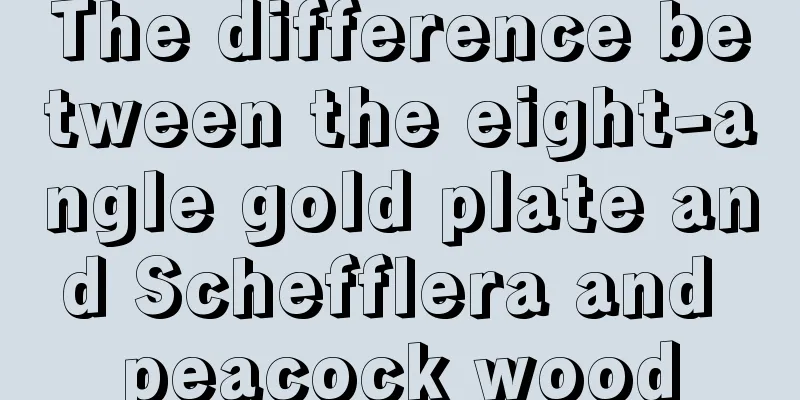 The difference between the eight-angle gold plate and Schefflera and peacock wood