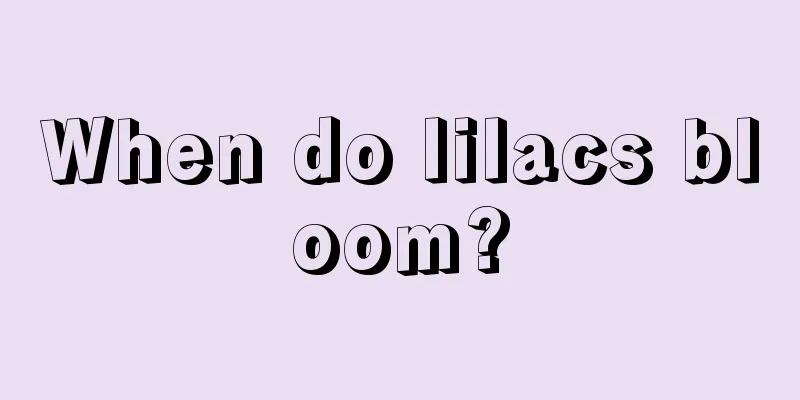 When do lilacs bloom?