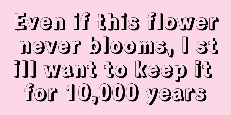 Even if this flower never blooms, I still want to keep it for 10,000 years