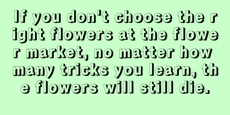 If you don't choose the right flowers at the flower market, no matter how many tricks you learn, the flowers will still die.