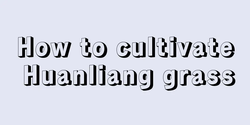 How to cultivate Huanliang grass