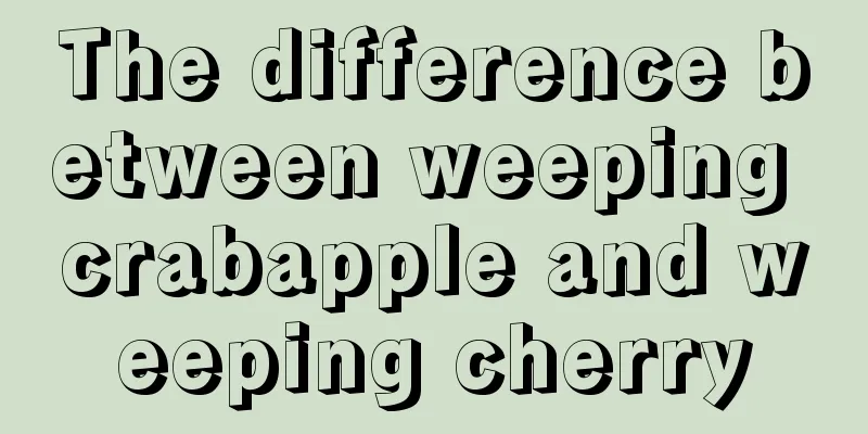 The difference between weeping crabapple and weeping cherry