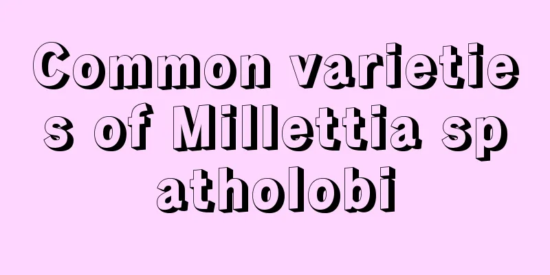 Common varieties of Millettia spatholobi