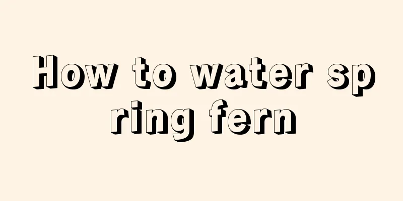 How to water spring fern