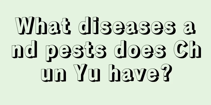 What diseases and pests does Chun Yu have?