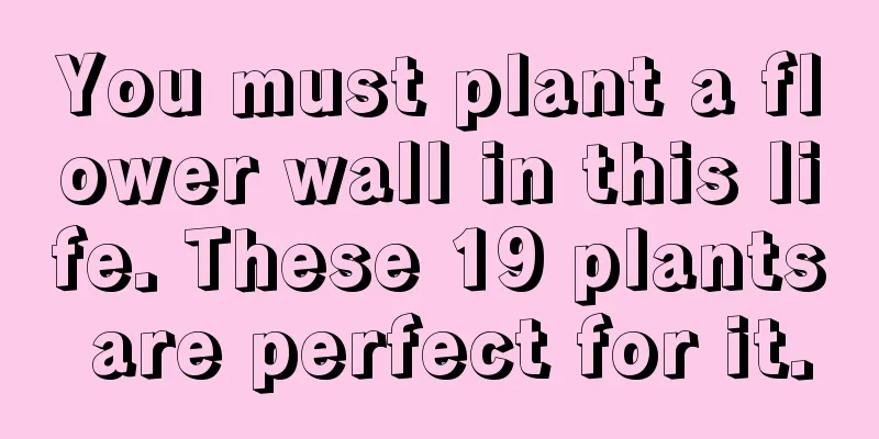 You must plant a flower wall in this life. These 19 plants are perfect for it.