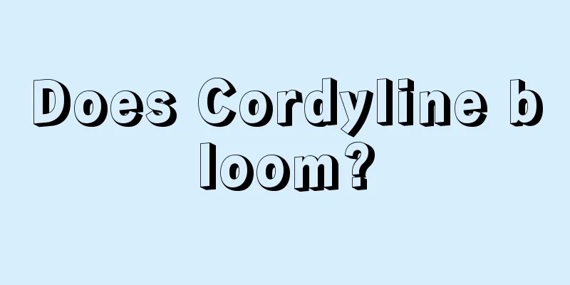 Does Cordyline bloom?