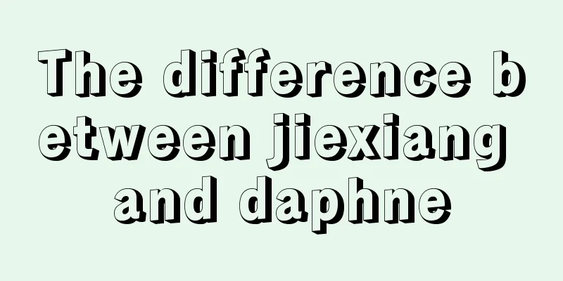 The difference between jiexiang and daphne