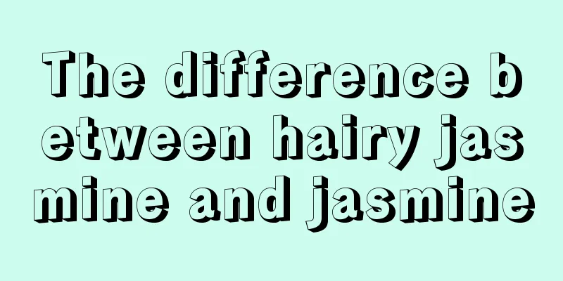 The difference between hairy jasmine and jasmine